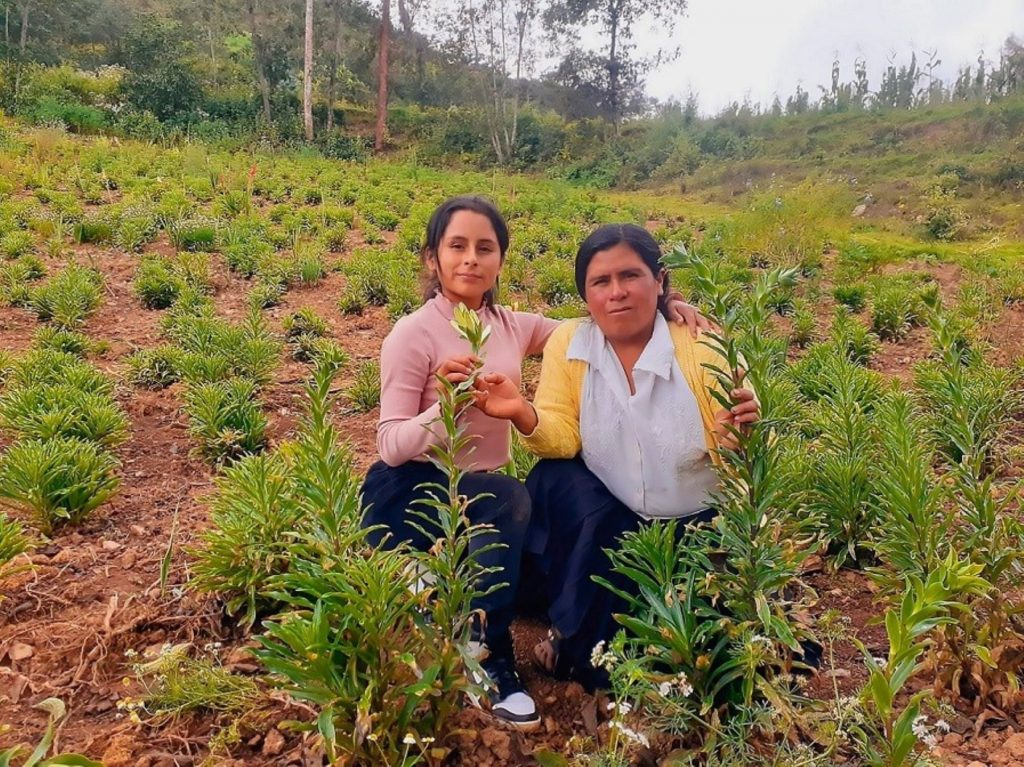 Joven estudia IA para cumplir la promesa que hizo a su mamá