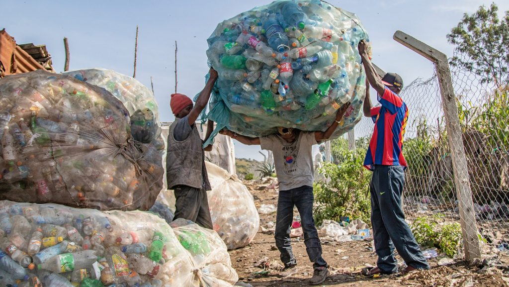 Hallan microbios que digieren plásticos biodegradables