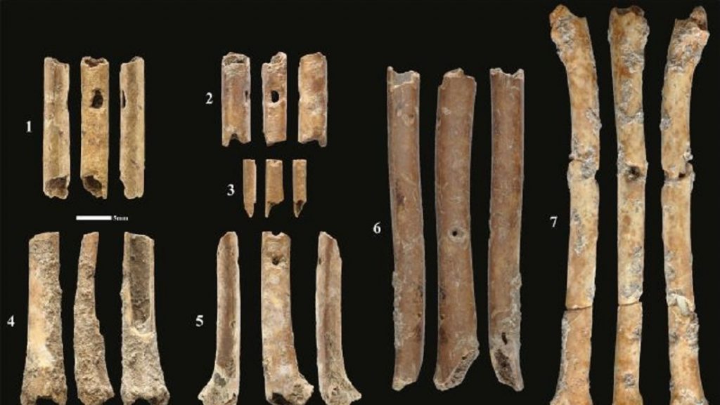 Hallan en Israel flautas de 12.000 años