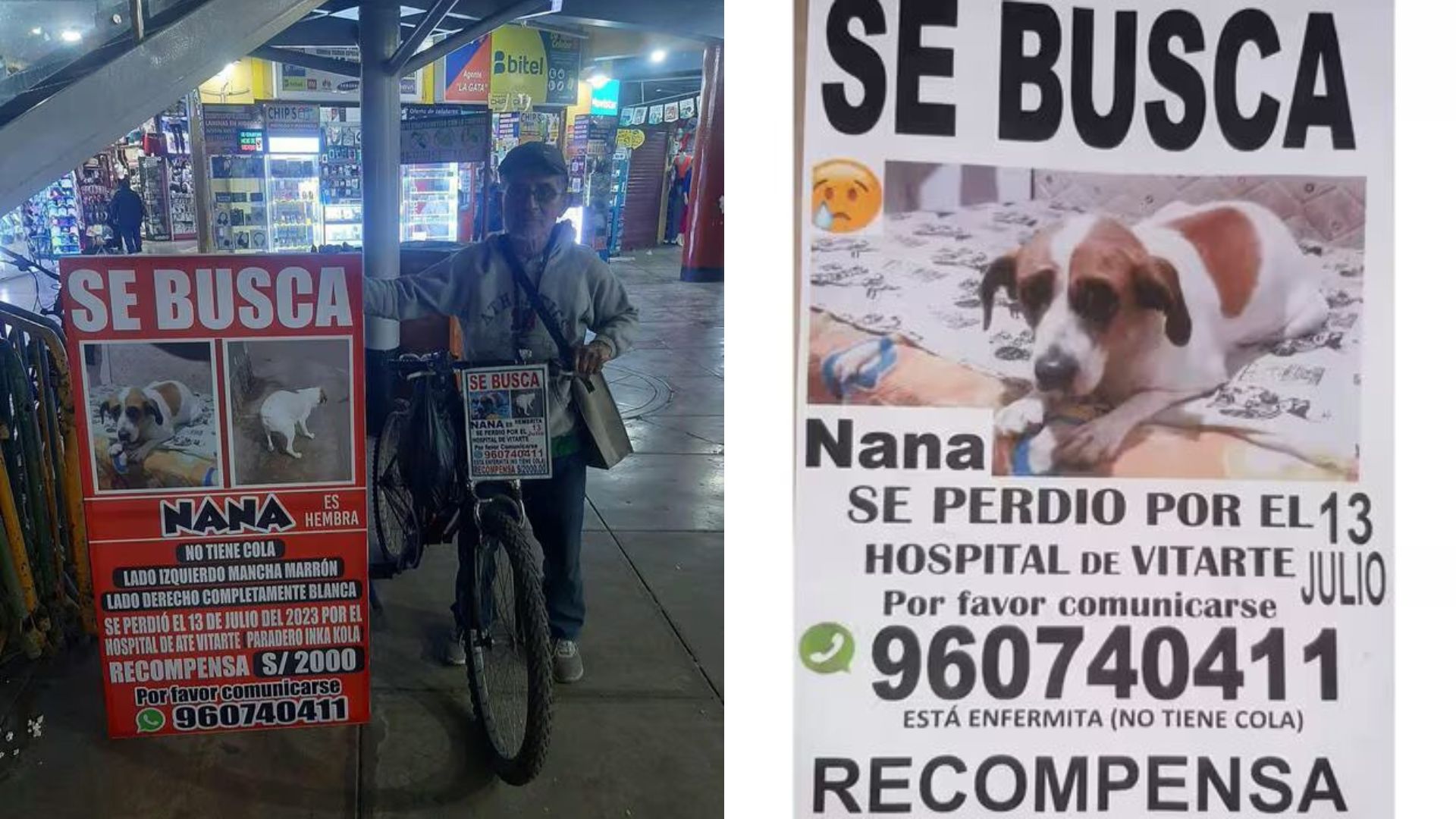 Adulto mayor busca a su perrita desde hace un año - Diario EP - Perú