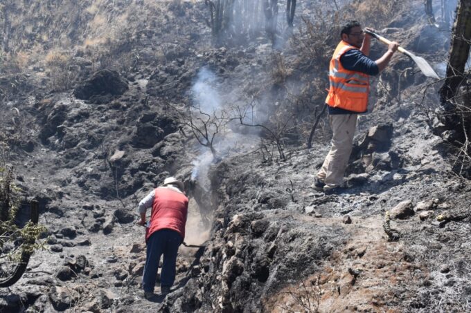 Incendio forestal en Chachas afectó cerca de 19 hectáreas - Diario EP ...